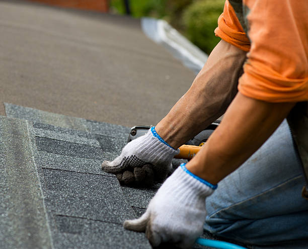 Best Roof Gutter Cleaning  in Manitou Beach Devils Lake, MI